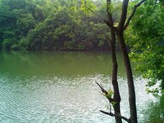 景点-杭州半山国家森林公园