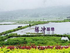 -腾冲北海湿地