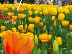 -成都市文化公园