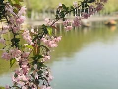 -泰州凤城河风景区-泰山公园