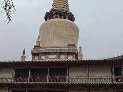 -张掖大佛寺景区