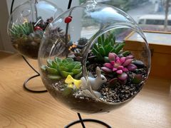 -森野花艺培训·企业团建活动沙龙