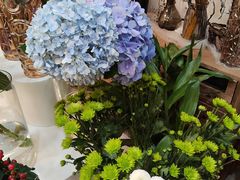 -花屿鲜花(淡水店)