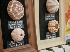 -Rabbit Cafe私房西餐甜点咖啡(栖霞路店)