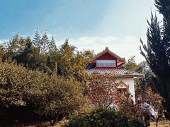 -洛阳白马寺