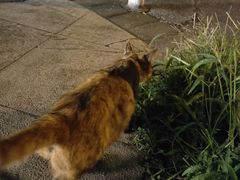 -华润万家便利超市(无锡大箕山店)