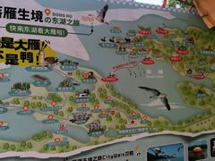 -东湖落雁景区