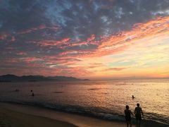 -芽庄喜来登水疗酒店