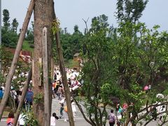 -枫香湖儿童公园