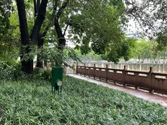 -成都市活水公园