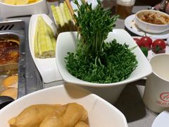 豆苗-海底捞火锅(天一广场亚细亚店)