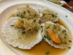 扇贝-西新饭店(城中店)