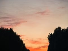 -特克斯八卦城