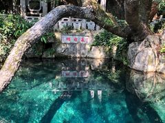 -蝴蝶泉公园