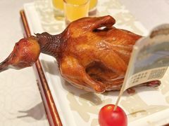 -大鸽饭(岗顶店)