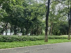 -海珠湖公园
