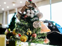 -奔驰利星行(北京花乡店)