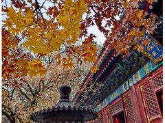 -香山公园