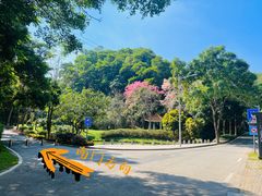 -火炉山森林公园