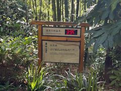 -天目湖涵田半山温泉