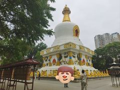 -护国法轮寺