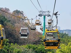 -广州长隆野生动物世界