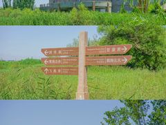 -冰沟丹霞旅游景区