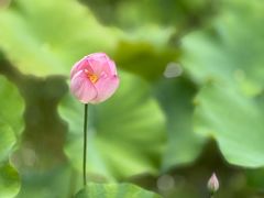 -洪湖家庭农场·团建·露营·会议