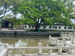 -江心屿景区
