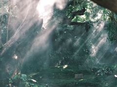 -Chom Cafe and Restaurant