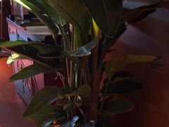 -食悦江南·淮扬菜·烤鸭(亚运村·惠新店)