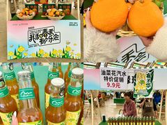 -中国天府农业博览园