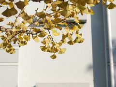 -浙江农林大学(东湖校区)