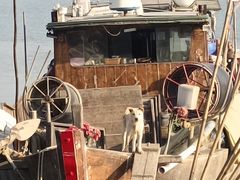 -南沙十九涌渔人码头-南门