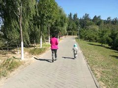 景点-白浮泉公园