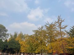 -辽宁大学(崇山校区)