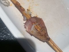 -战友蚝情烧烤工场(嘉华店)