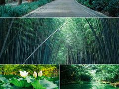 -同里国家湿地公园