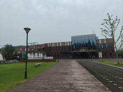 -黄海国家森林公园