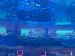 -迪拜水族馆及水下动物园