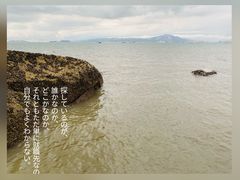 -音乐广场