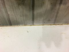 -阊门姚记豆浆(旧学前直营店)