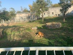 -西安秦岭野生动物园