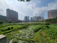 -嘉模圣母教堂