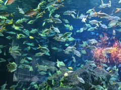 -成都浩海立方海洋公园