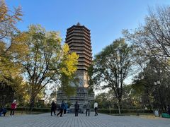 -玲珑塔公园