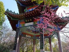 -武汉园博园(武汉自然博物馆)