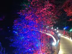 -汤旺河林海奇石景区
