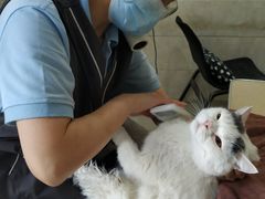 -瑞鹏瑞爱宠物医院·全科·猫科·血液透析中心(龙头寺店)