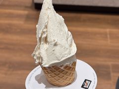 -野人先生现做冰淇淋(北京环宇荟店)